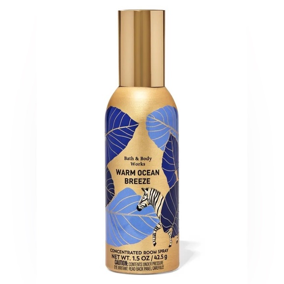 Bath & Body Works Other - Bath & Body Works WARM OCEAN BREEZE Concentrated Room Spray